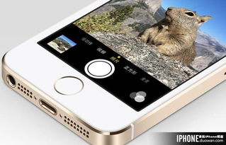 重慶企業進行App軟件開發的費用解析